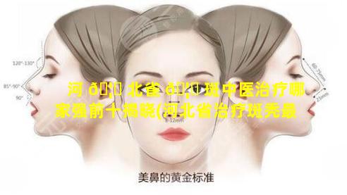 河 🦁 北雀 🦁 斑中医治疗哪家强前十揭晓(河北省治疗斑秃最好的医院)